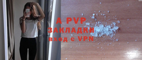индика Медногорск