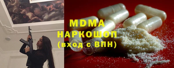 индика Медногорск
