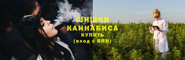 индика Медногорск