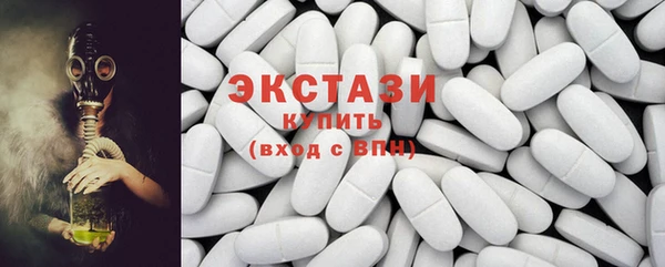 индика Медногорск