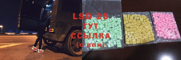 индика Медногорск