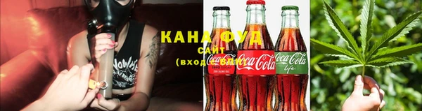 индика Медногорск
