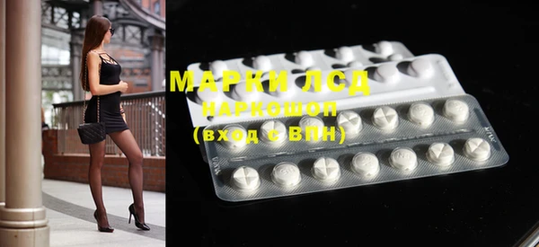 индика Медногорск