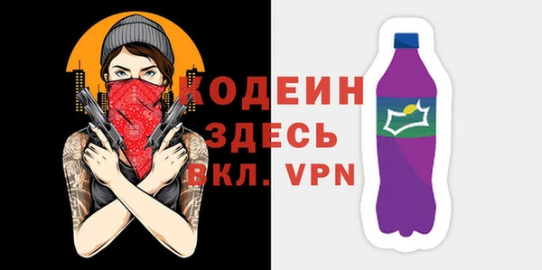 индика Медногорск