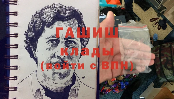 индика Медногорск