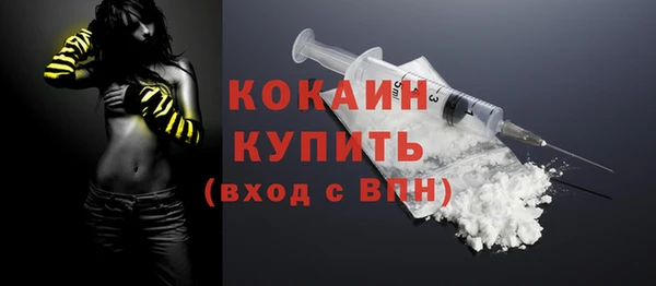 индика Медногорск