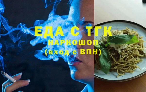 индика Медногорск