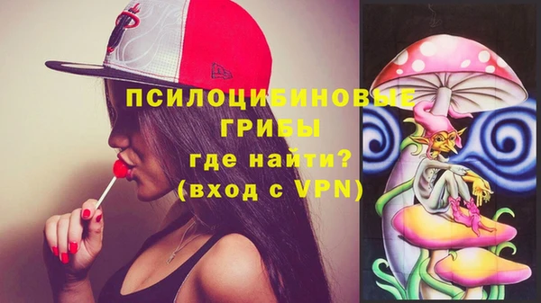 индика Медногорск