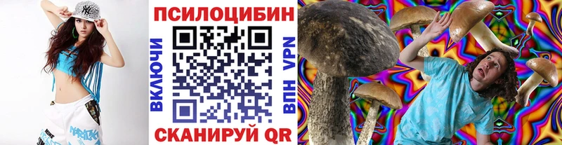 Галлюциногенные грибы Psilocybe  Невельск 